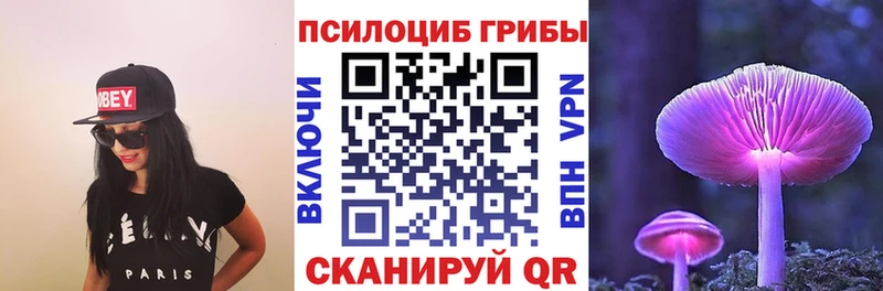 Псилоцибиновые грибы мицелий  Тайшет 